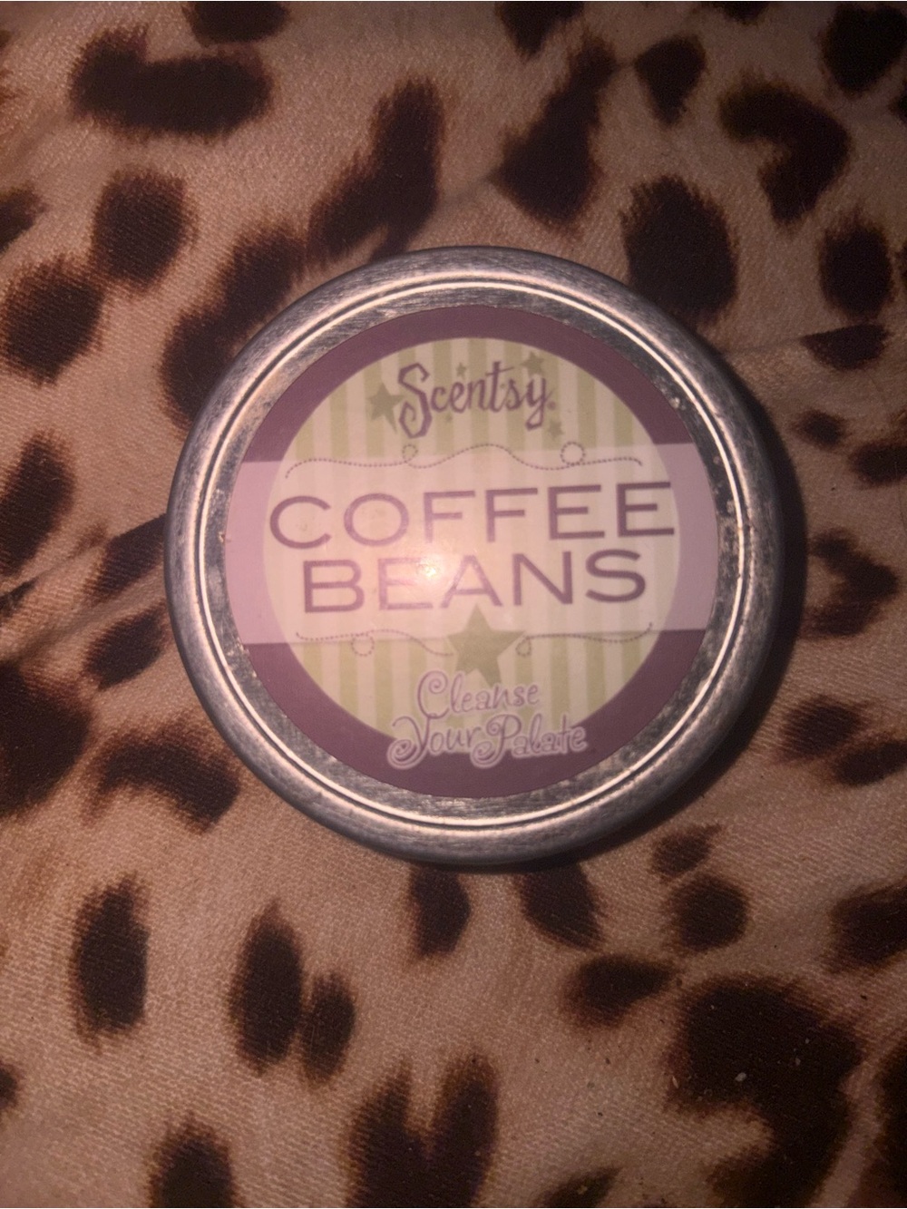 Scentsy Business Representative Coffee Beans - Tin, bags, display risers, etc